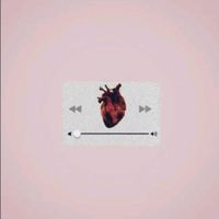 fans_de_reinamadera1