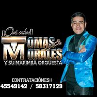 tomasmorales4554