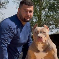 sbksoberanobullkennel