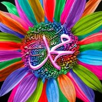 adreesshahzad01