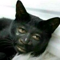 original sound - BPMG.1104