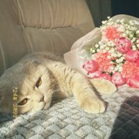 maratik._.kotik123