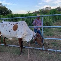 jose.benedicto.al
