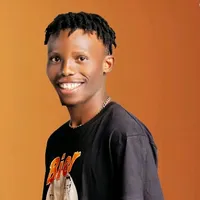 original sound - usemerv