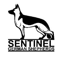 sentinelgermanshepherds