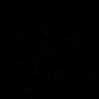 the_alexandra_