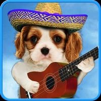 WGBITTTFTTGTOTF THATS RIGHT