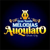 bandamelodiasauquiato