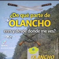olanchano080