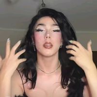 pisica._la_plic