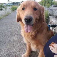 original sound - jaxxx_666