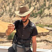 الصوت الأصلي