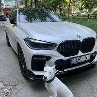 iurii_m5