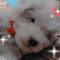 chinita2308