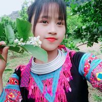 nhạc nền - Mết Hoa135