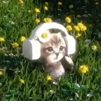 original sound - digitaldivinity