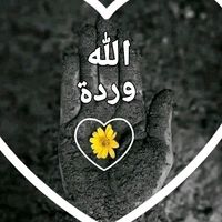 sabrin1122sabrin1122