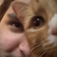 Imagine how tired we are