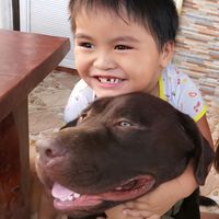 original sound - Dionn_Kumi