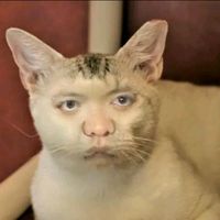 suara asli - Meme KiwKiw🇮🇩