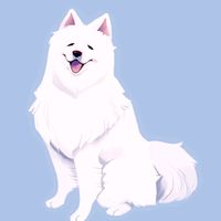 Variations on a Cloud by Miracle Musical