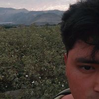 renatoqm_3