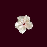 оригінальний звук