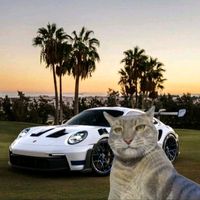 elbichosiuuu912