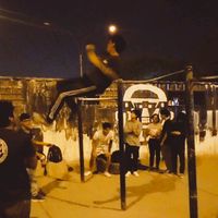 .toro_bars