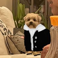 Put this thing on the ground