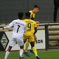 samsonhaltt