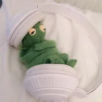 birds of a feather sped up