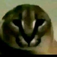soy_yossuan
