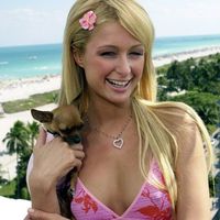 brunettebluegirlforever