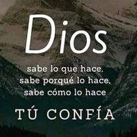diostedice10
