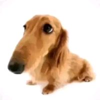 оригинальный звук