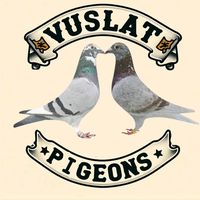 vuslatpigeons