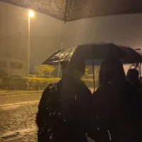 original sound - x_wyuzx