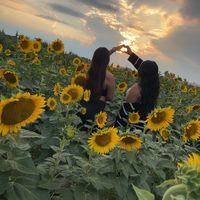 soila.y.flory