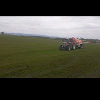 kieransheedy165