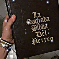 sonido original