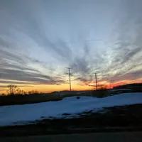 me and the birds slowed