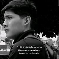 alexvideos