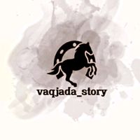 vaqjada_.story