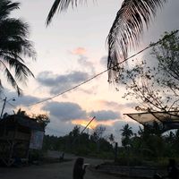 suara asli - Nonyaaa