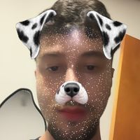 dnlglvs