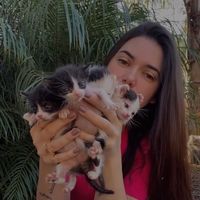 denisehensel788