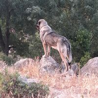 juandedios_546
