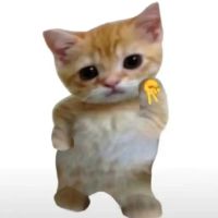 original sound - temu_trendyfinds