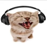 original sound - m3ov.v